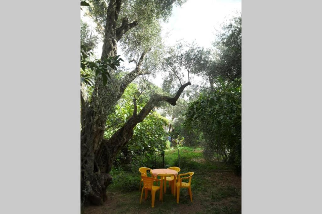 Bmv Room For 2-3 With Greenery View Sveti Stefan Bagian luar foto